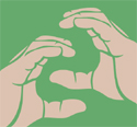 N2